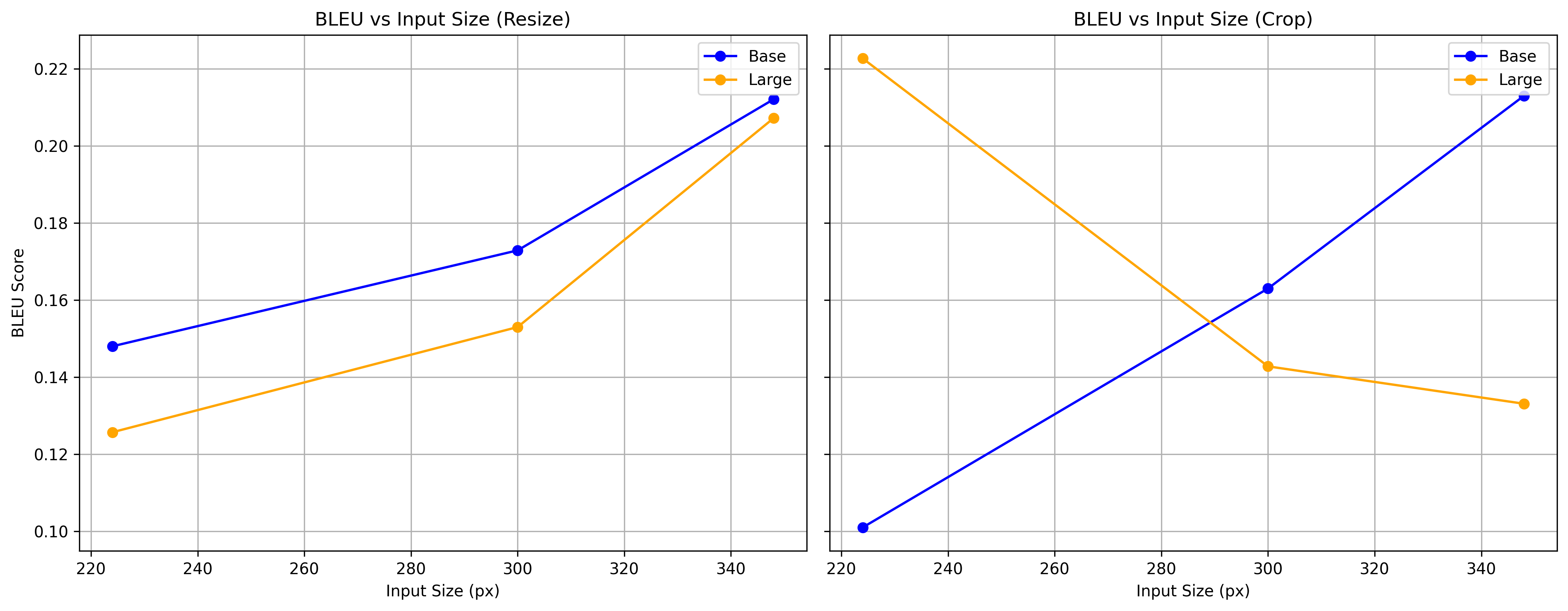 BLEU vs Image Input Size